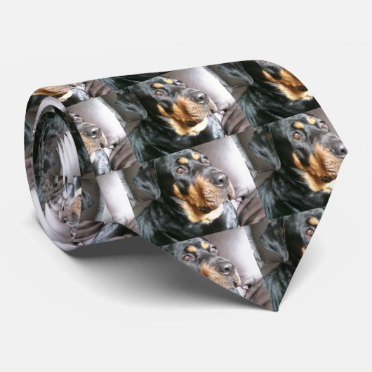 Rottweiler Stropdas (Opgerold)