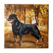 Rottweiler Tegeltje (Voorkant)