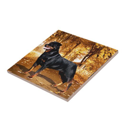 Rottweiler Tegeltje (Zijkant)