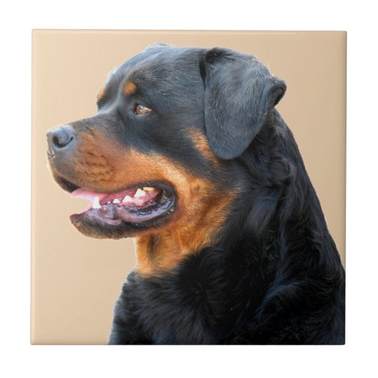 Rottweiler Tegeltje (Voorkant)