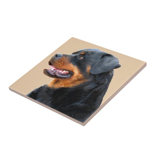 Rottweiler Tegeltje (Zijkant)