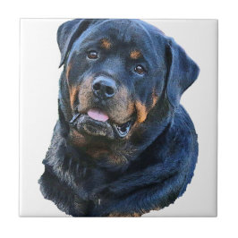 Rottweiler Tegeltje