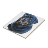 Rottweiler Tegeltje (Zijkant)