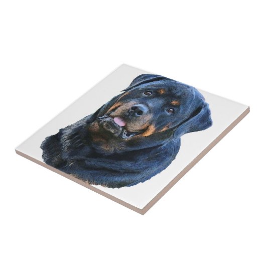 Rottweiler Tegeltje (Zijkant)