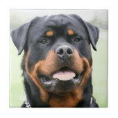 rottweiler tegeltje (Voorkant)