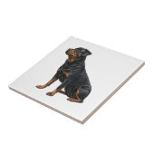 Rottweiler Tegeltje (Zijkant)