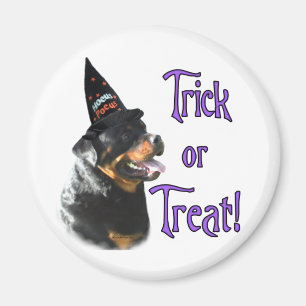 rottweiler-truc magneet