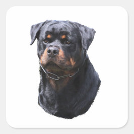Rottweiler Vierkante Sticker