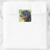 rottweiler vierkante sticker (Tas)