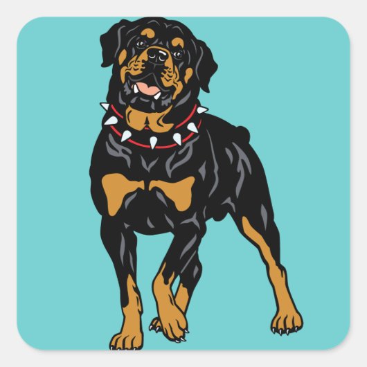 rottweiler vierkante sticker (Voorkant)