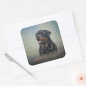 Rottweiler Vierkante Sticker (Envelop)