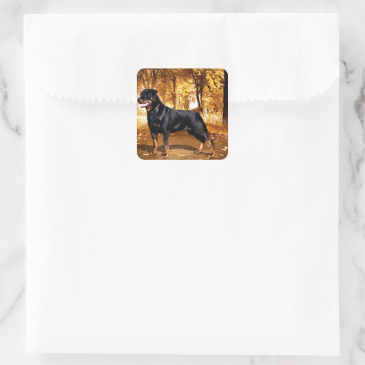Rottweiler Vierkante Sticker (Tas)