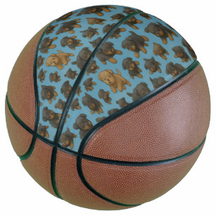 Rottweiler Waanzin Basketbal