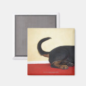 Rottweiler-wagenstaart, achtersectie magneet (Voorkant / Achterkant)