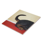 Rottweiler-wagenstaart, achtersectie tegeltje (Zijkant)