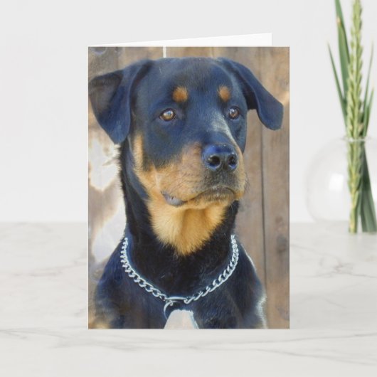 Rottweiler-Wenskaart Kaart (Voorkant)