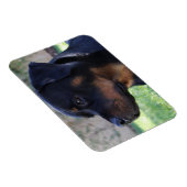 rottweilermagneet magneet (Rechterzijde)