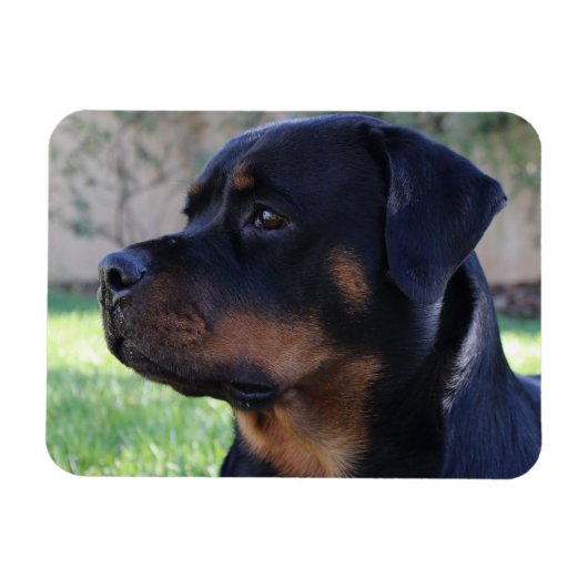 rottweilermagneet magneet (Horizontaal)
