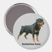 Rottweilers regelmagneet magneet (Voorkant / Achterkant)