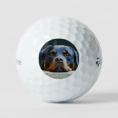 Rottwelier Golfballen (Voorkant)