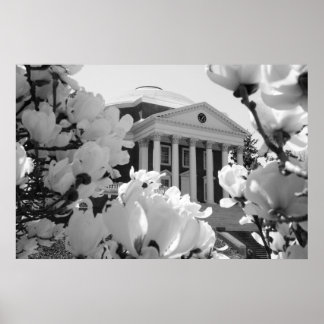 Rotunda en Flowers Poster