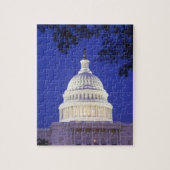 Rotunda of U.S. Capitol at night, Washington Legpuzzel (Verticaal)