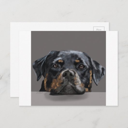 Rotweiller Briefkaart (Voorkant / Achterkant)