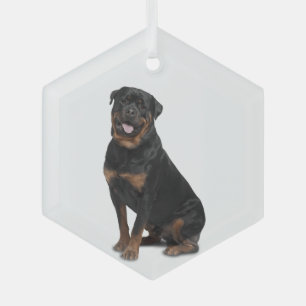 Rotweiller Dog Pet Animal Glass Ornament
