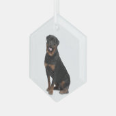 Rotweiller Dog Pet Animal Glass Ornament (Voorkant links)