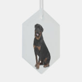 Rotweiller Dog Pet Animal Glass Ornament (Voorkant Rechts)