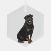Rotweiller Dog Pet Animal Glass Ornament (Achterkant)