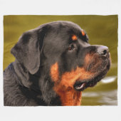 ROTWEILLER FLEECE DEKEN (Voorkant (Horizontaal))
