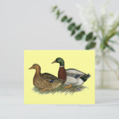 Rouen Ducks Briefkaart (Staand voorkant)