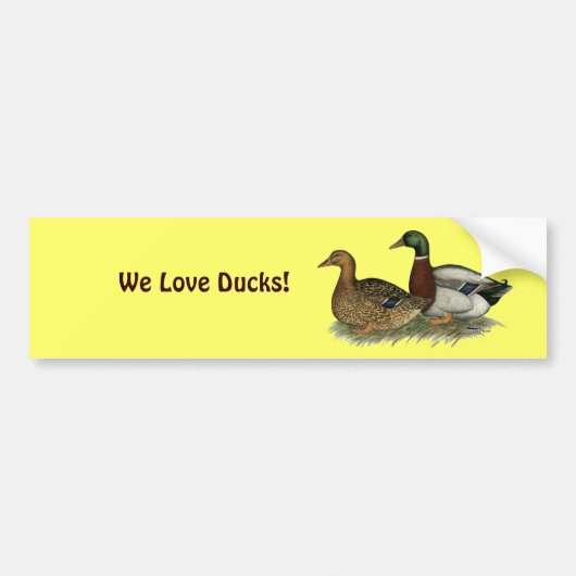 Rouen Ducks Bumpersticker (Voorkant)