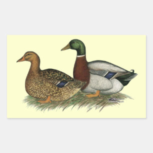 Rouen Ducks Rechthoekige Sticker
