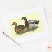 Rouen Ducks Rechthoekige Sticker (Envelop)