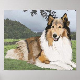 Rough Collie against Yorkshire Dales Poster