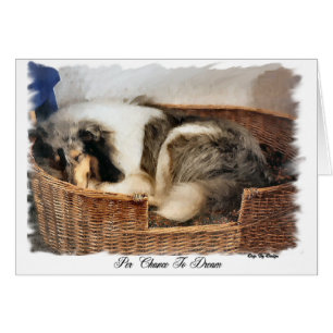 Rough Collie Art Gifts