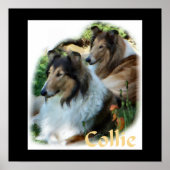 Rough Collie Art Gifts Poster (Voorkant)