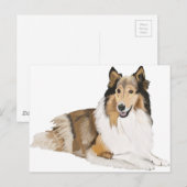 Rough Collie Briefkaart (Voorkant / Achterkant)