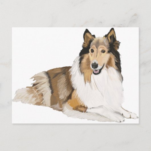 Rough Collie Briefkaart (Voorkant)