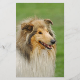 Rough Collie Briefpapier