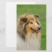 Rough Collie Briefpapier (Voorkant / Achterkant)