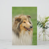 Rough Collie Briefpapier (Staand voorkant)