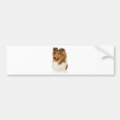 Rough Collie Bumpersticker (Voorkant)