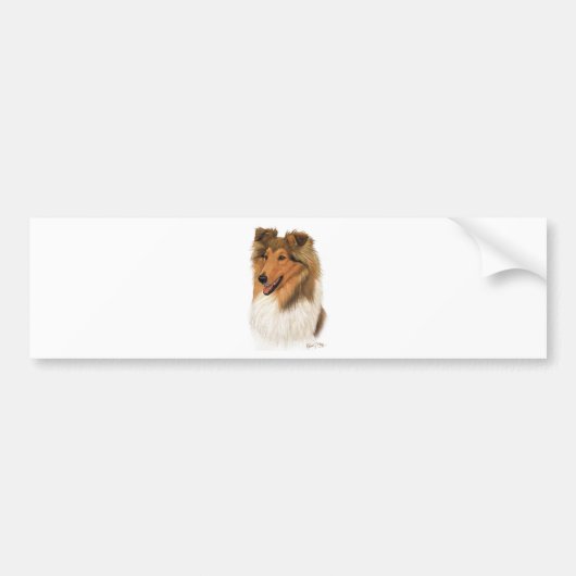 Rough Collie Bumpersticker (Voorkant)