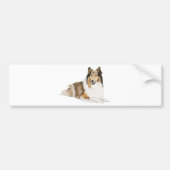 Rough Collie Bumpersticker (Voorkant)