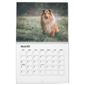 Rough Collie Calendar Kalender (Mar 2027)