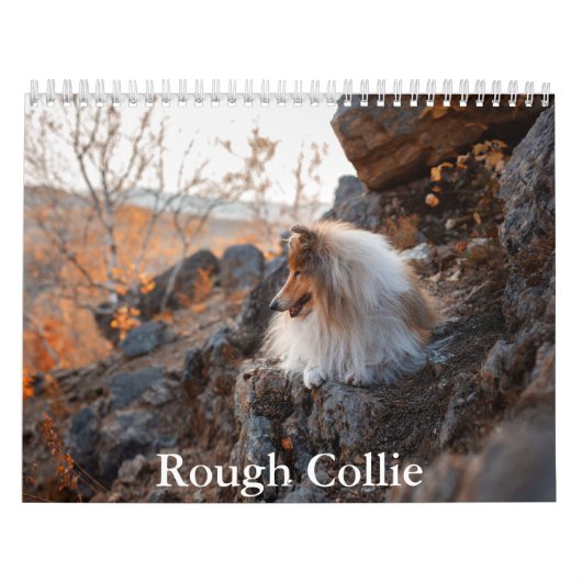 Rough Collie Calendar Kalender (Hoes)