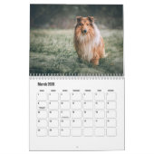 Rough Collie Calendar Kalender (Mar 2026)